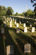 Oakland Cemetery Gravestones Landscape Atlanta Georgia Headstone