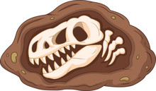 Cartoon Head Dinosaur Fossil

