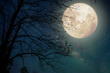 Wall Mural - milky way star in night skies, full moon and old tree - retro style artwork with vintage color tone 
