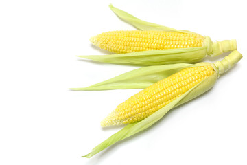 Wall Mural - Japanese fresh corn in white