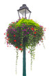 Freigestellte Blumenampel in leuchtenden Farben auf Pfosten mit Straßenlaterne

Cropped Hanging Basket in bright colors on pole with street lamp