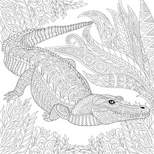 Zentangle Stylized Cartoon Crocodile (alligator) Among Jungle Foliage. Hand Drawn Sketch For Adult Antistress Coloring Page, T-shirt Emblem, Logo, Tattoo With Doodle, Zentangle, Floral Design Elements