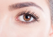 © Catalin Pop - Beauty close-up eye with mascara and natural skin look