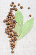 Grains of allspice and bay leaf on a canvas