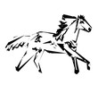 pferd abstrakt illustration