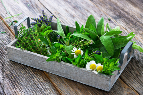 Photo Fresh herbs from garden  on wooden  background