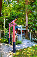 Canvas Print - Torii at Shirakumo Shrine in Kyoto Gyoen National Garden