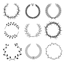 Set Of Different Circular Wreaths Of Different Plants - Thorns, Laurel, Of Ears And Seeds Of Different Branches With Leaves On A White Background In Vector Graphics