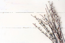 Willow On A White Vintage Wooden Background Spring Composition Easter