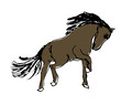 pferd braun illustration