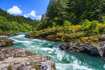 mountain river and forest in north cascades national park, washington, usa