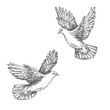 Hand Drawn Sketch of Flying Doves