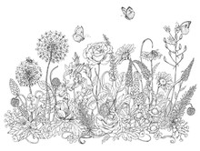 Wildflowers  And Insects Sketch