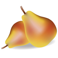 Vector illustration of two pears on a white background
