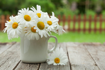 Wall Mural - Daisy chamomile flowers