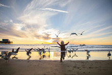 Rear View Of Girl Playing With Seagulls At Beach Against Sky During Sunset