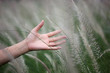 © sakhorn38 - hand gentle touch with reed grass