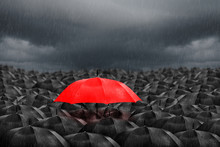 Red Umbrella In Mass Of Black Umbrellas
