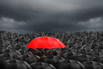 red umbrella in mass of black umbrellas