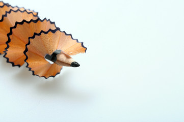 woodchips and sharpened pencil
