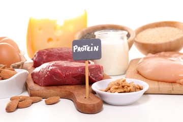 Wall Mural - protein sources