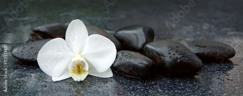 Nowoczesny obraz na płótnie White orchid and black stones close up.