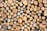 Fototapeta Las - Pile of wood logs ready for winter