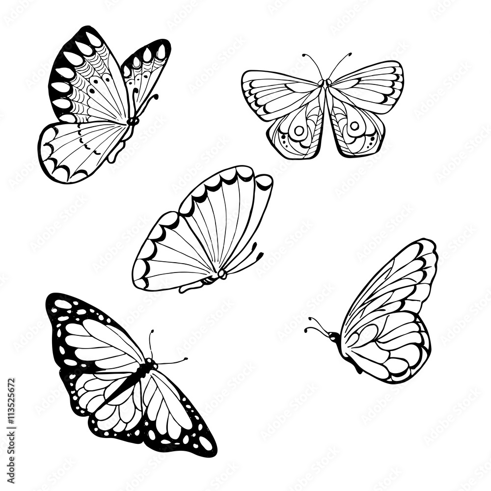 Set of black butterflies isolated on white background. Hand drawn ...