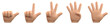 Handzeichen für Zahlen auf deutsch - eins, zwei, drei, vier, fünf