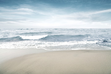 beach and summer landscape 