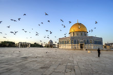 Flying Pigeons And Dome Of The Rock Image