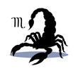 Silhouette of dangerous insect scorpion isolated on white background, detailed spider, astrological icon Scorpio. The symbol of the month of November on the calendar.