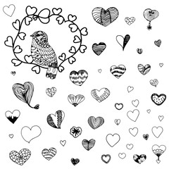 Wall Mural - Heart shape pattern and zentangle of bird in black line doodle vector on white background,Heart and bird sketch from free hand drawing