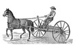 19th century illustration:cart horse and rake carriage