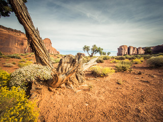Wall Mural - monument valley, utah, usa