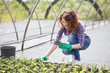 © Stocked House Studio - happy female nursery worker in greenhouse