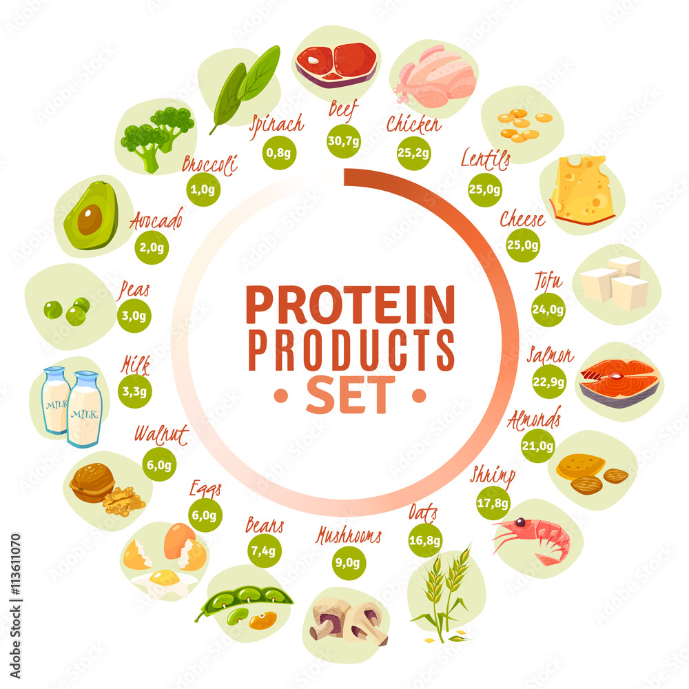 Protein Containing Products Flat Circle Diagram Stock Vector | Adobe Stock
