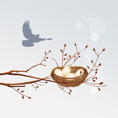 Wall Mural - eggs bird in the nest on branches