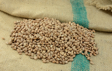 Dry raw uncooked Pinto beans on burlap