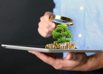 Poster - Male hand holding magnifying glass and tablet with green tree and coins