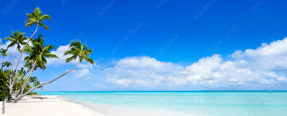 Beach Panorama with blue water and palm trees - obrazy, fototapety, plakaty 