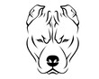 Dog Breed Line Art Logo - Pit Bull