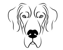 Dog Clipart Great Dane Free Stock Photo - Public Domain Pictures