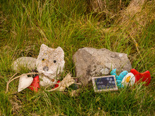 Pet Graveyard On The Beach At Lossiemouth, Morray Firth, Scotland, UK,