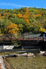 Wall Mural - Visitor at Nantahala Outdoor Center