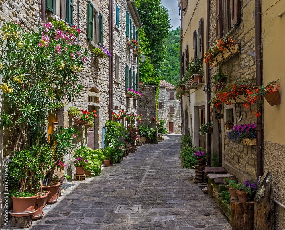Tuscan, Italy - obrazy, fototapety, plakaty 
