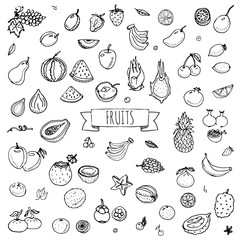 Hand drawn doodle fruits icons set Vector illustration seasonal fruits symbols collection Cartoon different kinds of fruits Various types of tropical fruits on white background Sketch style Fruit eps