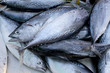 © meepoohyaphoto - Longtail tuna or Northern bluefin tuna on the utensil.