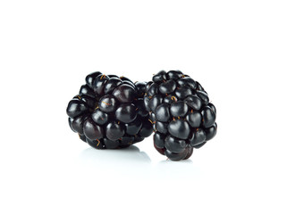 two blackberries on a white background