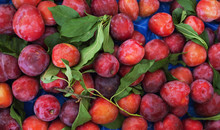 Ripe Red Plums